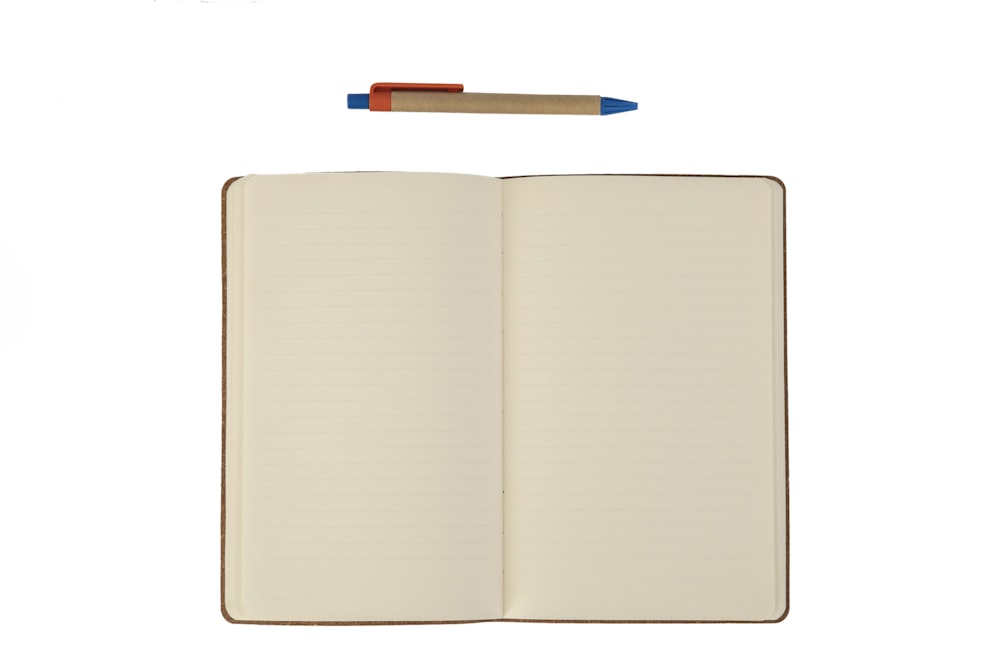 white book with blue pen