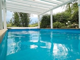 A tranquil swimming pool surrounded by greenery.