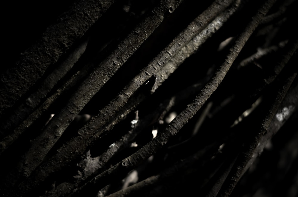 black metal fence in close up photography