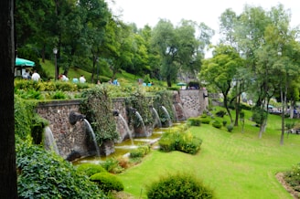 Image of a landscaped urban park with eco-friendly water systems installed by the company.