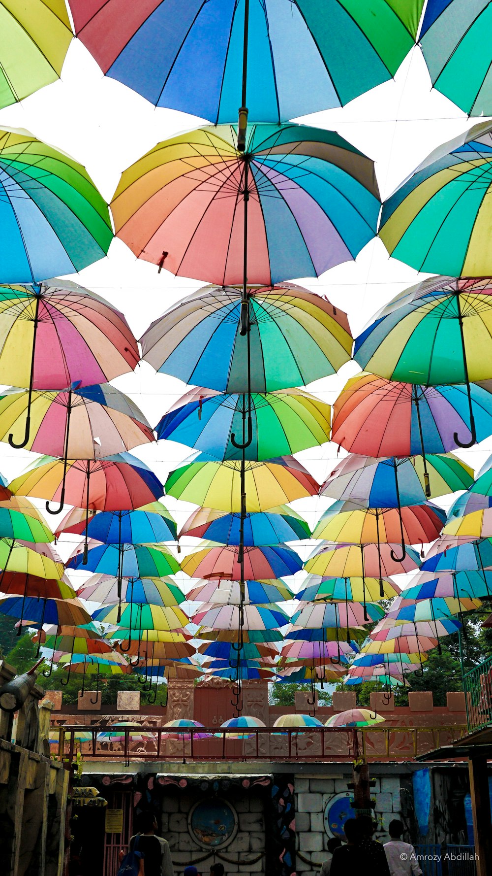 mehrfarbiger Regenschirm tagsüber
