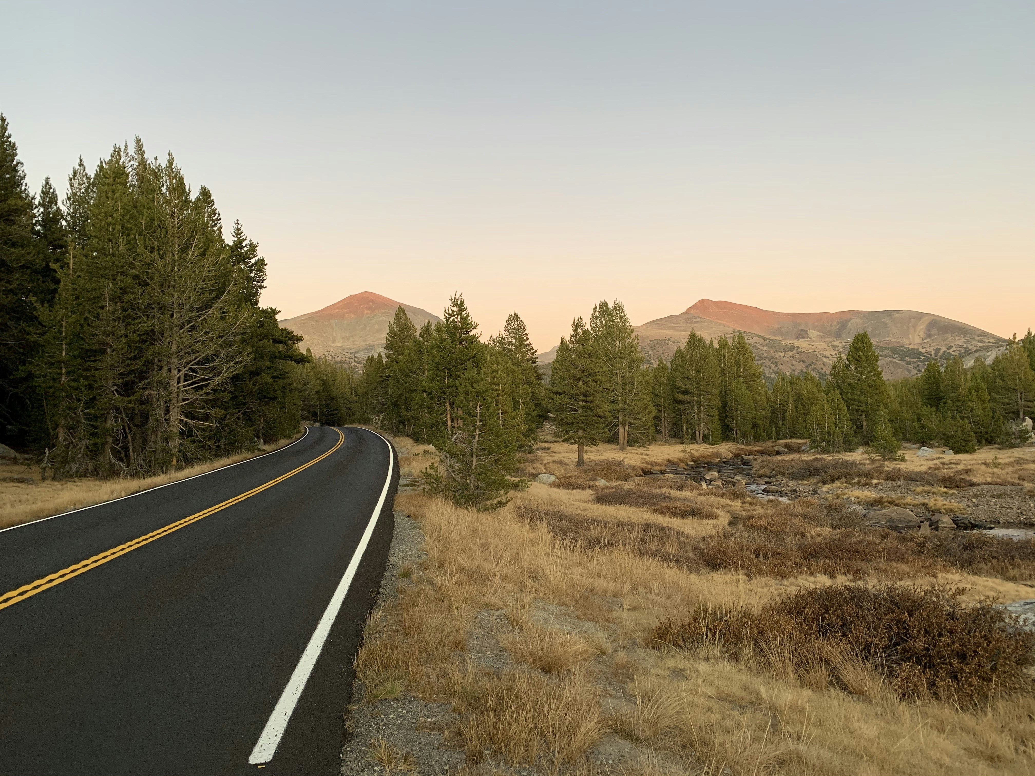 Photo by tiagovelloso