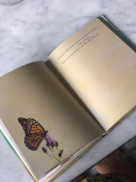 Open book with pages revealing poetic text about Portuguese landscapes