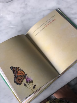 An open book is placed on a marble surface, displaying a butterfly resting on a flower. The left page features a detailed image of an orange and black butterfly on a light purple flower. The right page contains text in Portuguese, written in two different fonts.