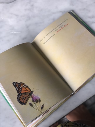 An open book is placed on a marble surface, displaying a butterfly resting on a flower. The left page features a detailed image of an orange and black butterfly on a light purple flower. The right page contains text in Portuguese, written in two different fonts.