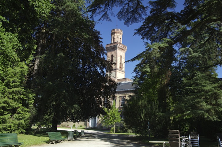 Bellarmine University