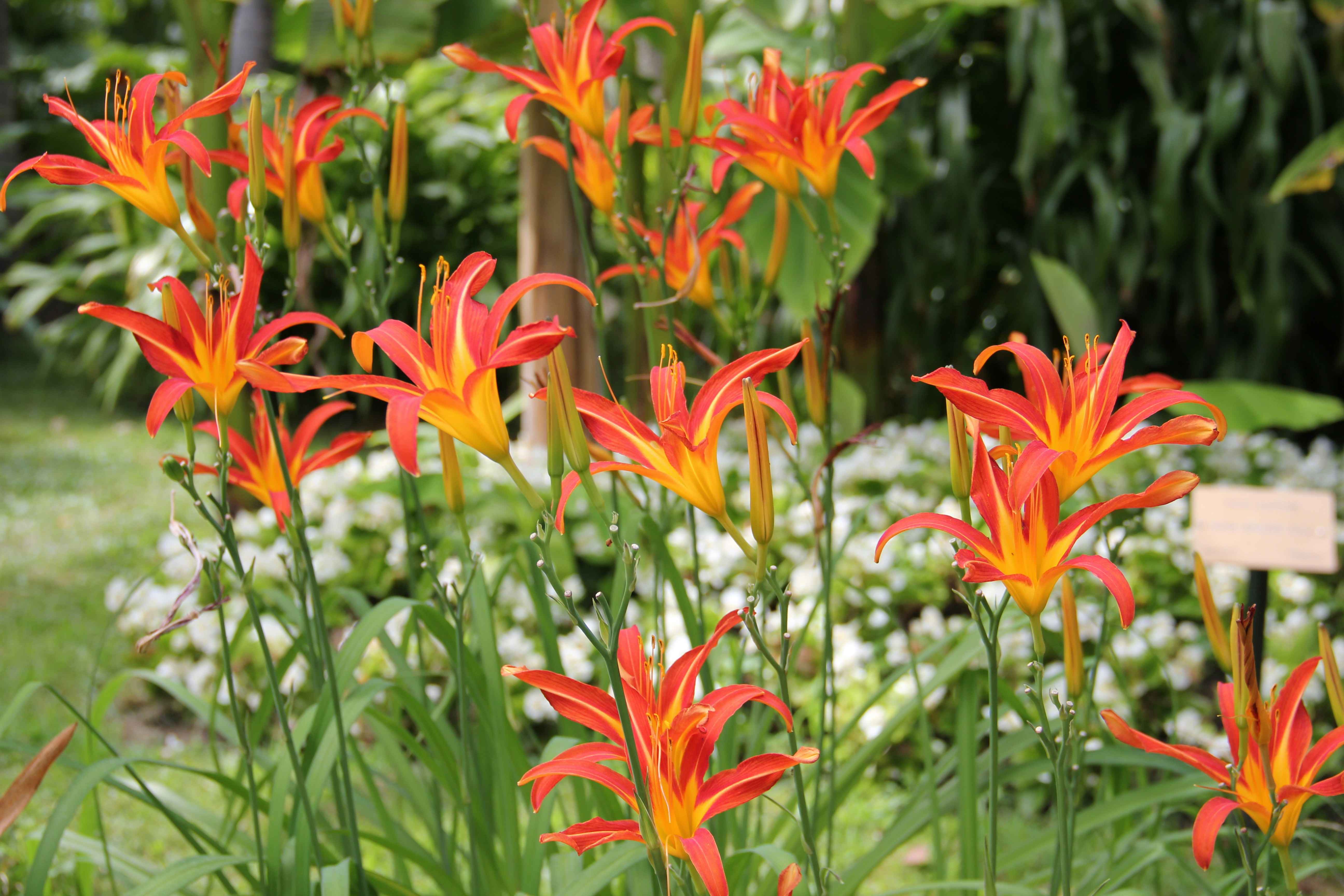 Photo by shalevcohen