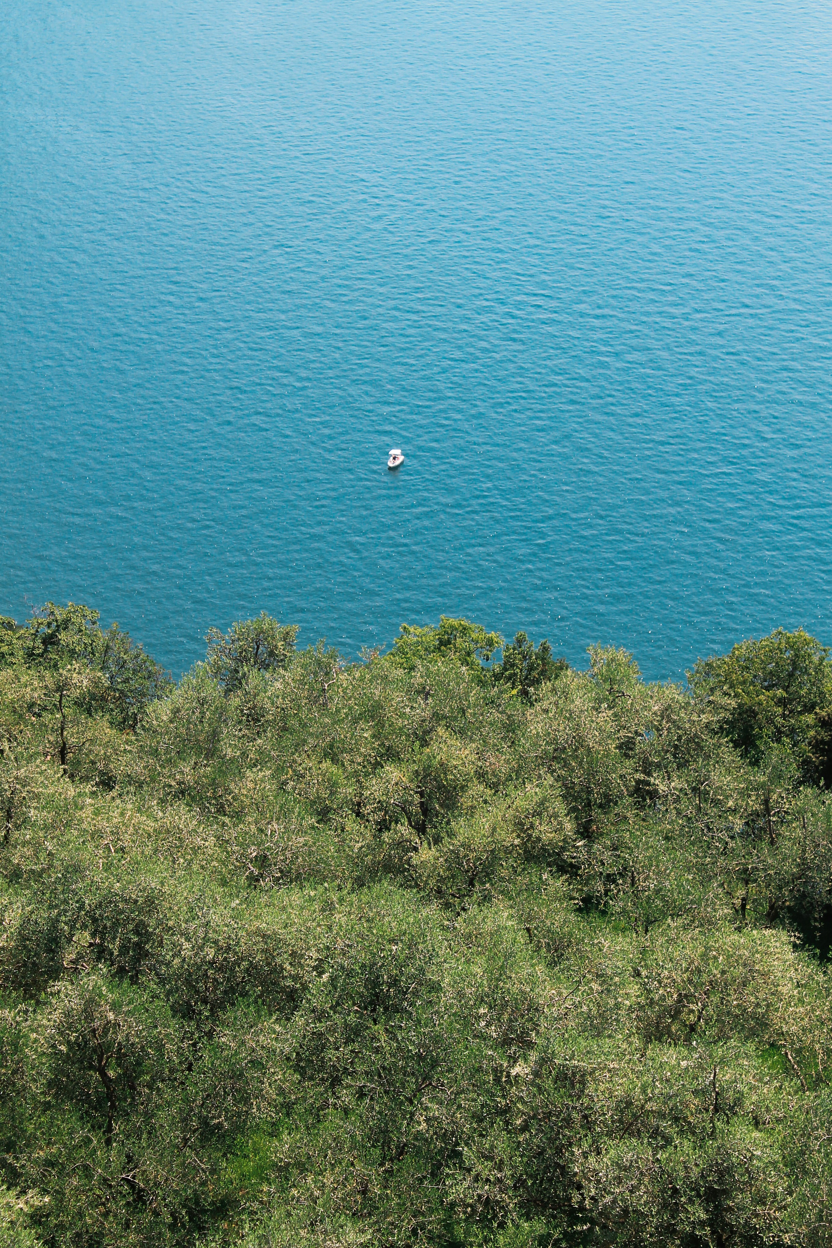 Water blue lake landscape with trees. Como Lake, Varenna, Italy.