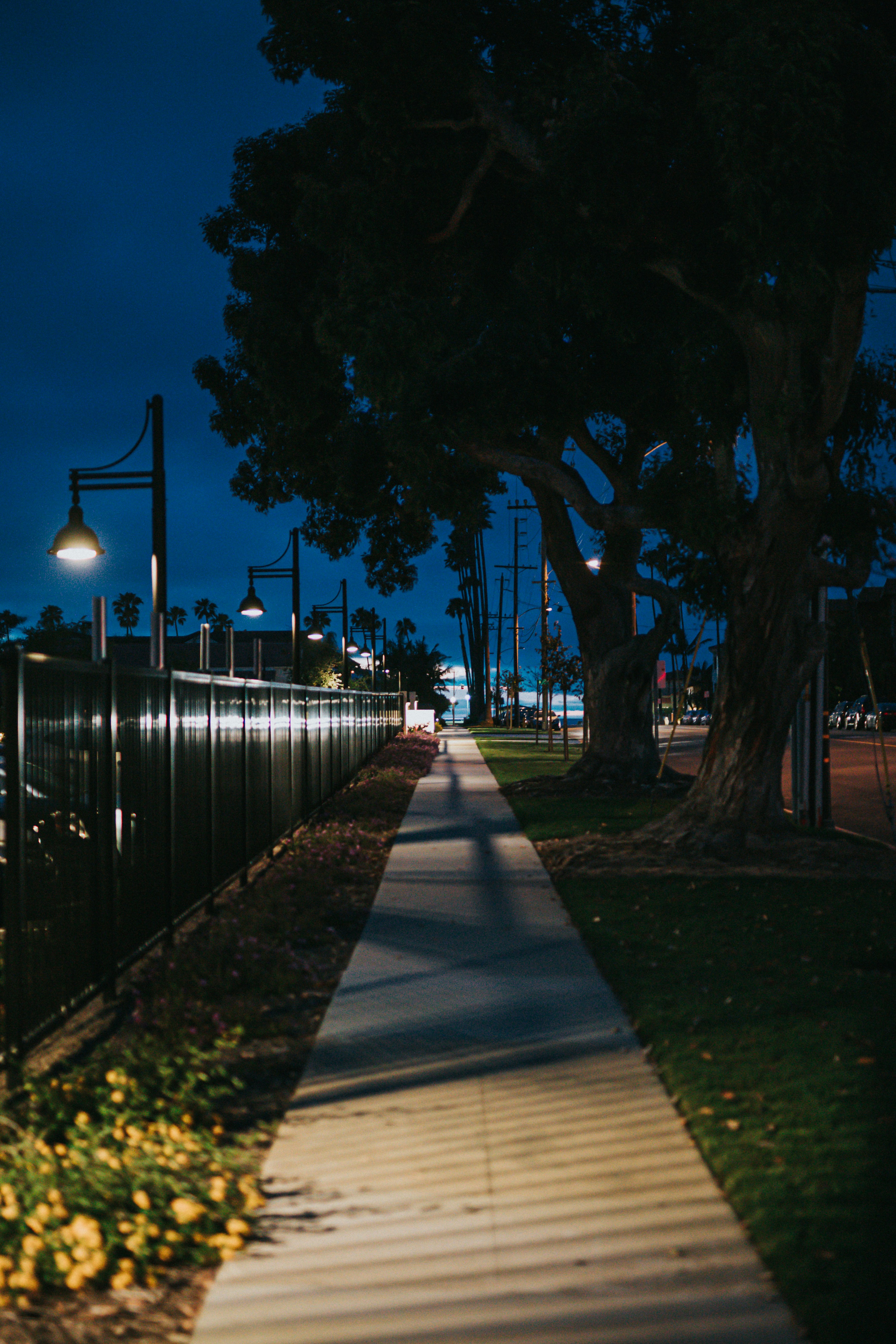 Photo by donovan_valdivia