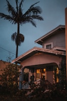 A quaint residential house with a warm glow coming from the windows. The structure has a traditional porch, surrounded by lush greenery. A tall palm tree towers beside the house, set against a dusky sky.