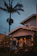 Cozy coastal home glowing warmly with palm uplighting and softly lit pathways at dusk.
