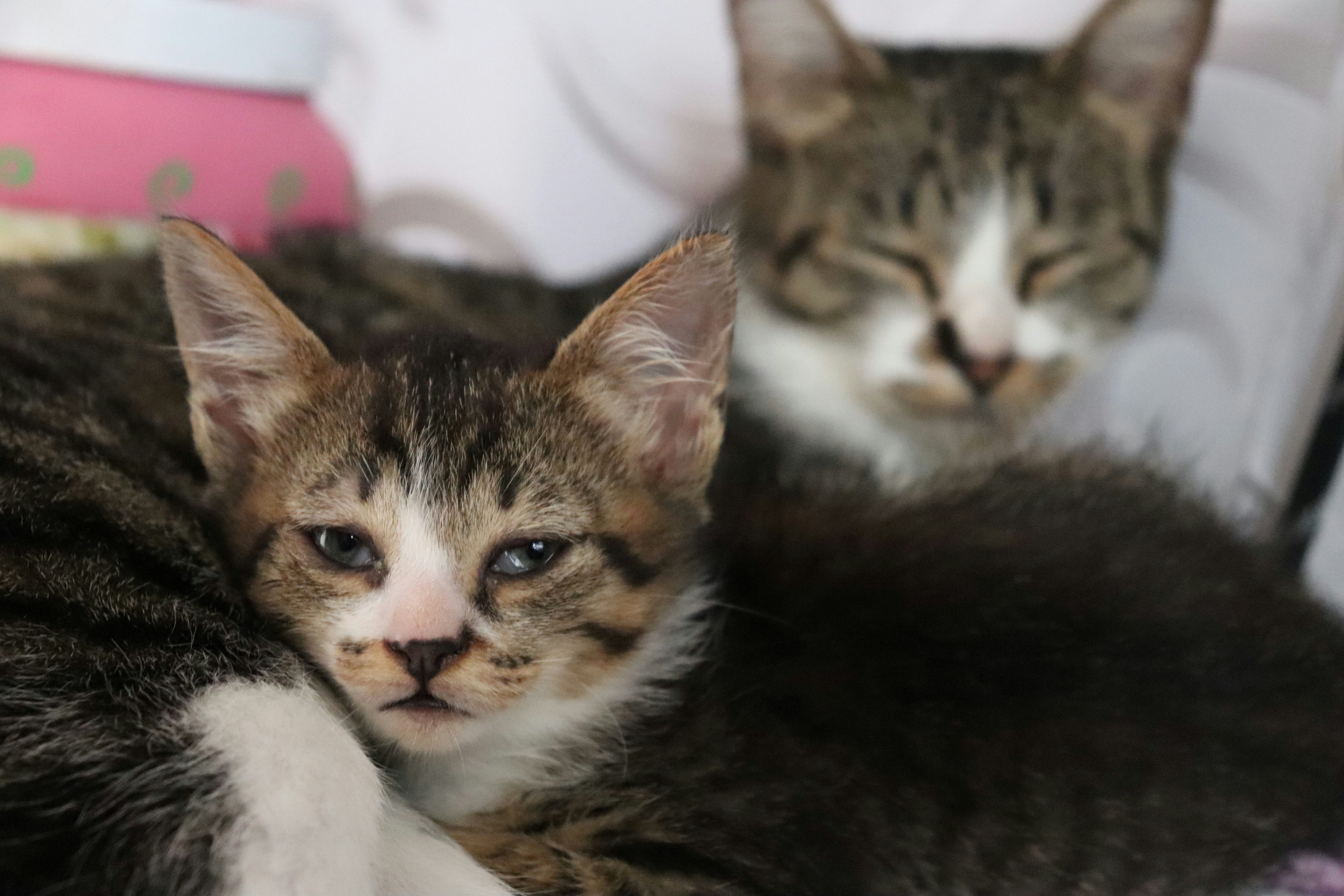 Photo by gustavo_gcs