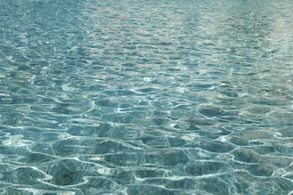 blue body of water during daytime