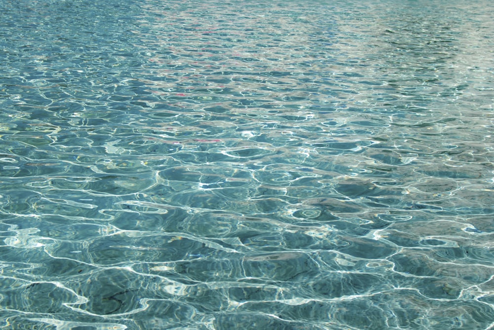 blue body of water during daytime