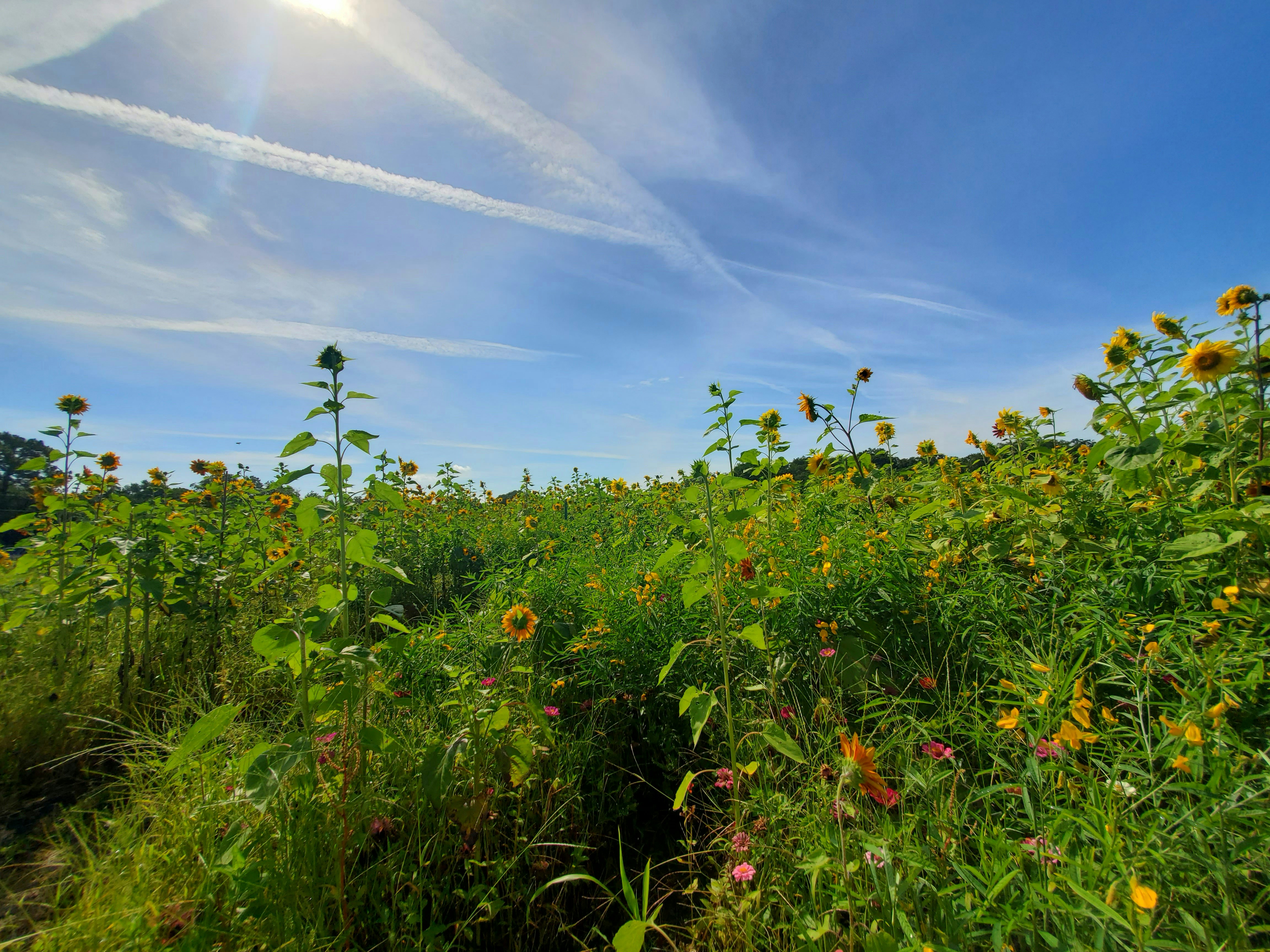 Photo by autumnkuney