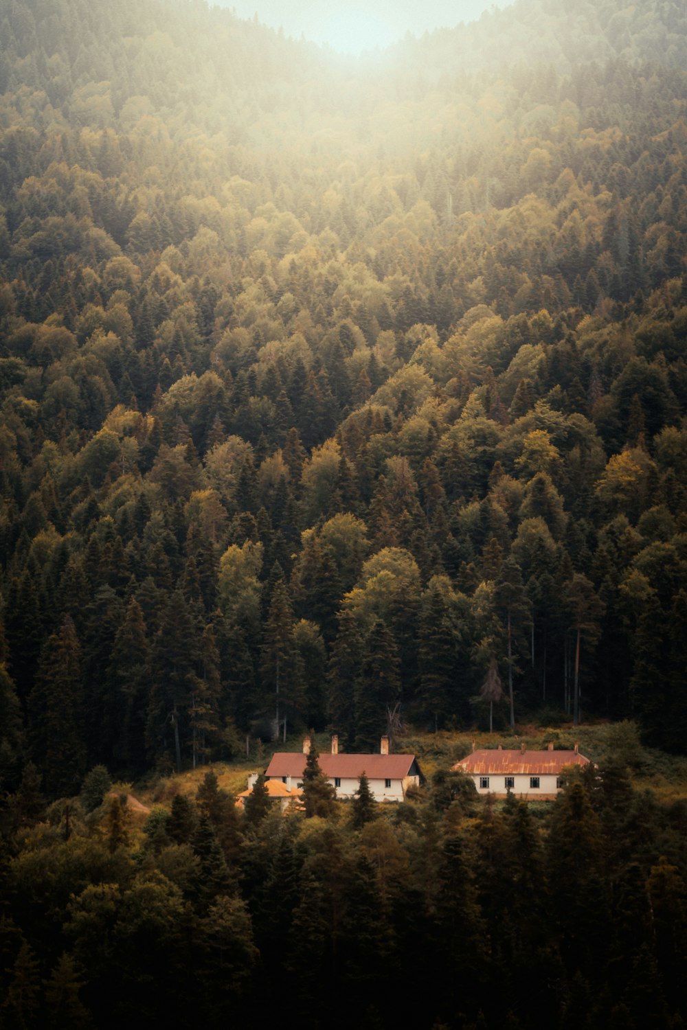 white and brown concrete house surrounded by green trees during daytime