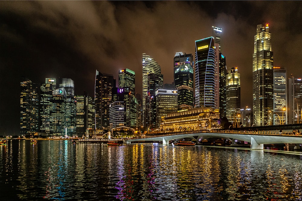 city skyline during night time