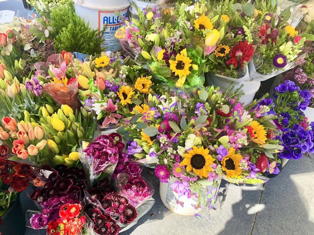 yellow pink and purple flowers