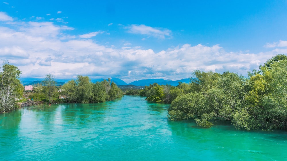 green trees beside blue body of water under blue sky during daytime