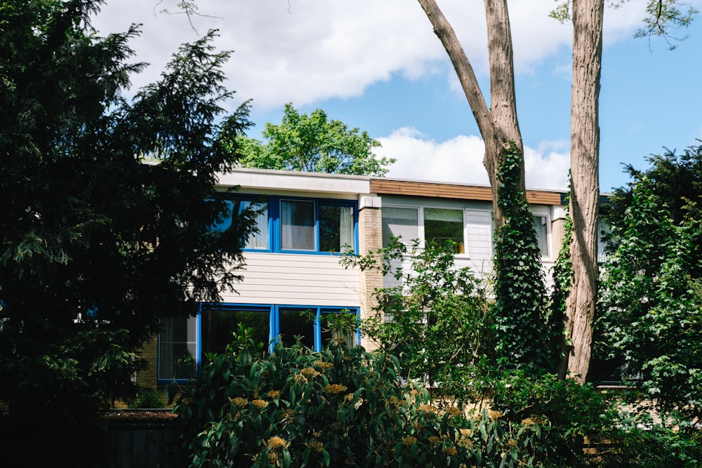 white and blue wooden house near green trees under white clouds during daytime