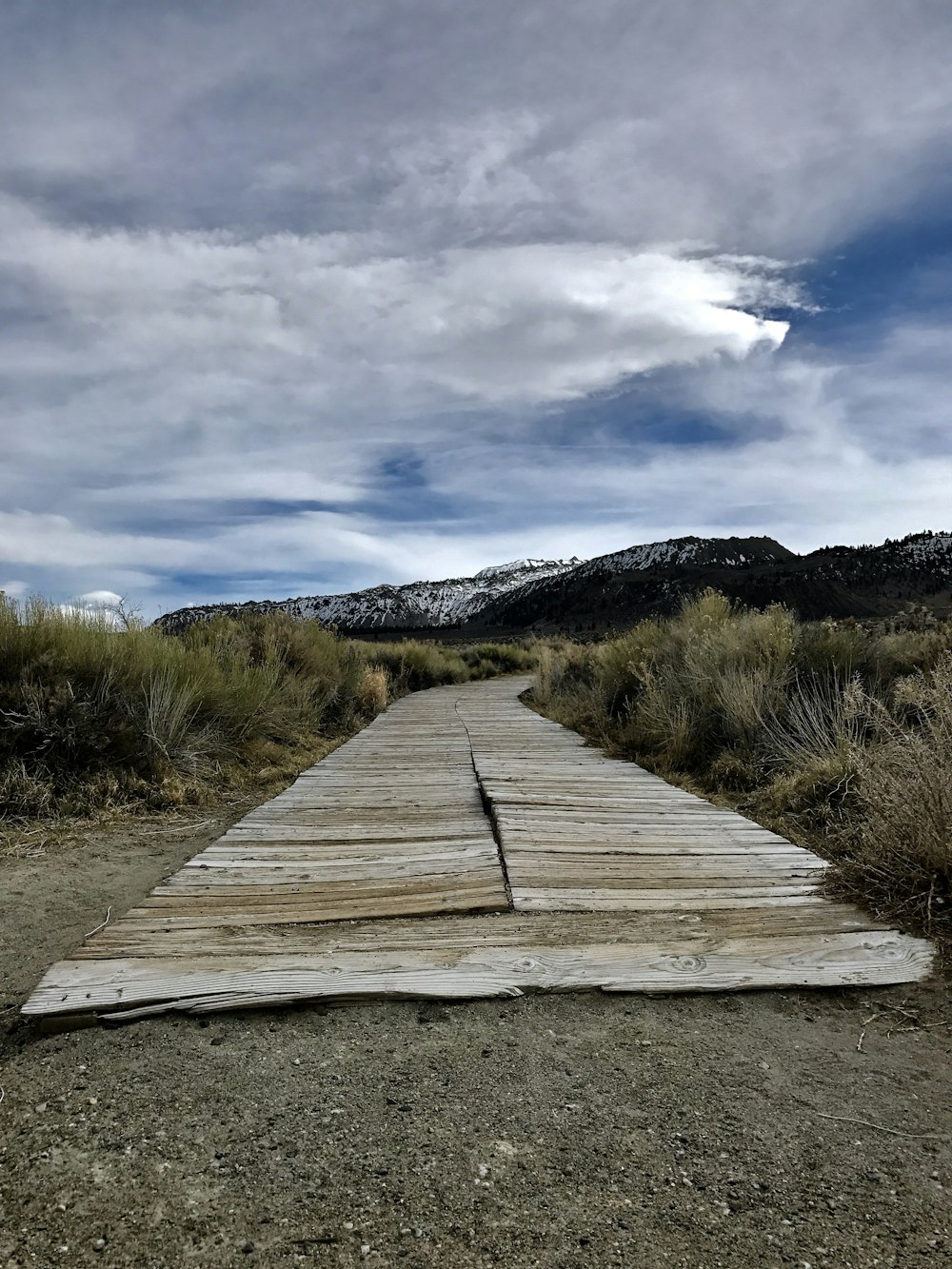 brown wooden pathway between green grass under blue sky and white clouds during daytime