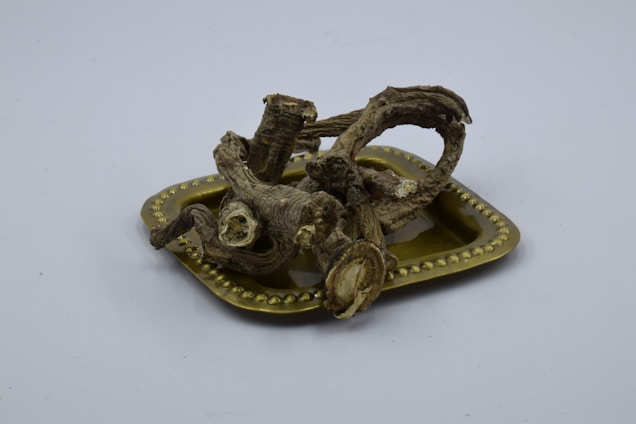 Dried roots are piled on a decorative, gold-colored tray with a dotted border. The roots have a rough, textured appearance, showcasing their intricate natural forms. The background is plain, putting full focus on the earthy elements on the tray.