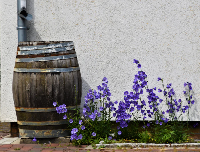 A wooden rain barrel used as a planter in a backyard garden