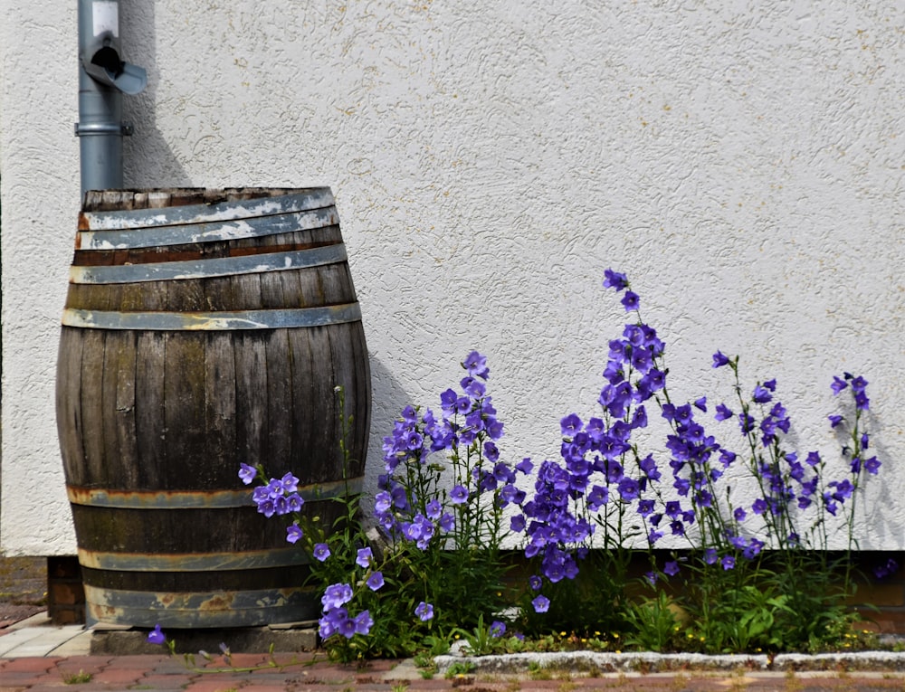 purple flowers on brown wooden barrel