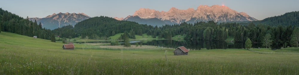 Champ d’herbe verte près de la maison en bois brun et des arbres verts pendant la journée