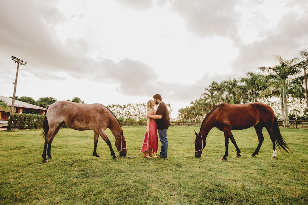 woman in pink long sleeve shirt standing beside brown horse on green grass field during daytime