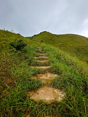 green grass field on hill