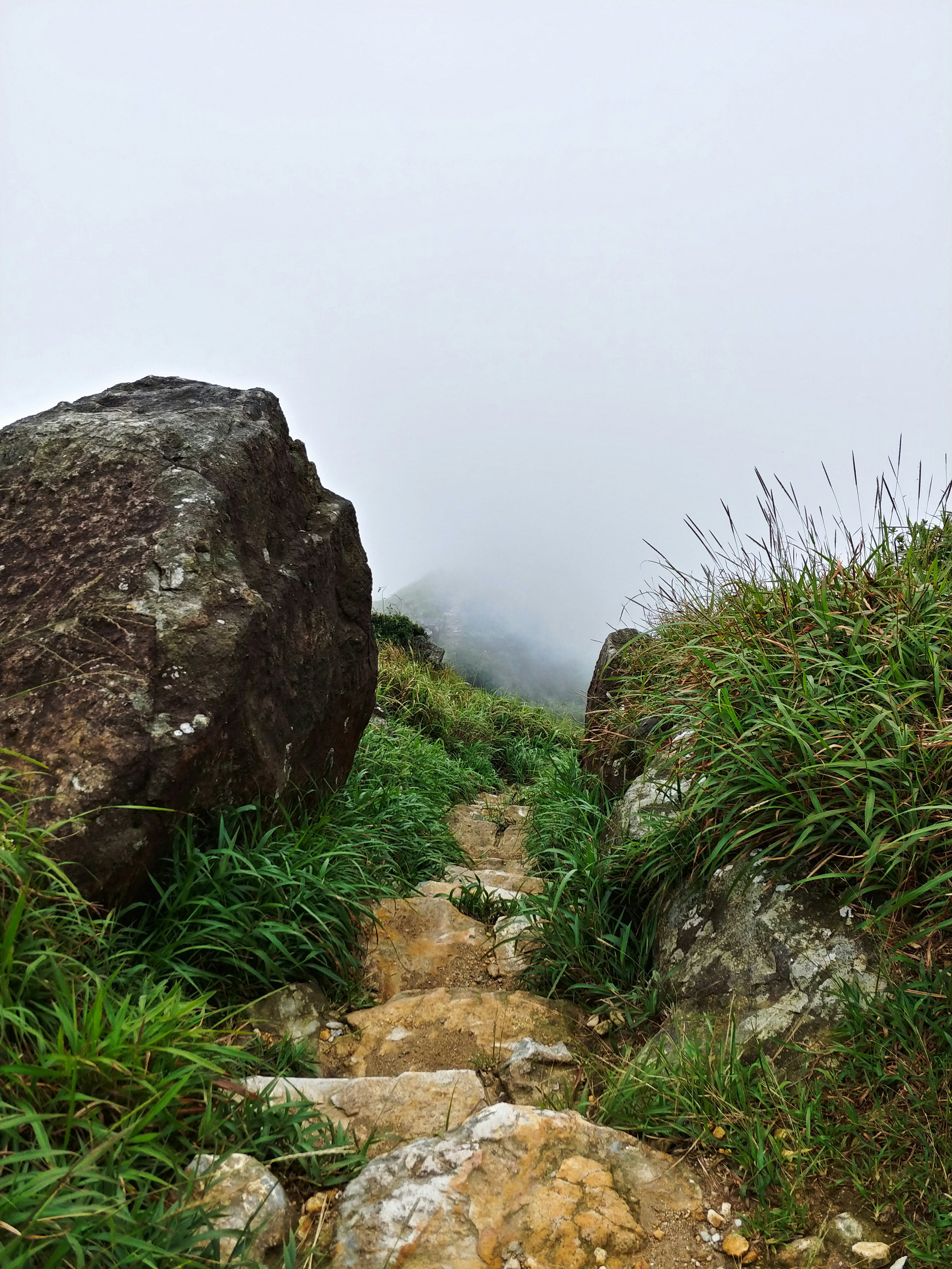 Photo by meditatingdragon