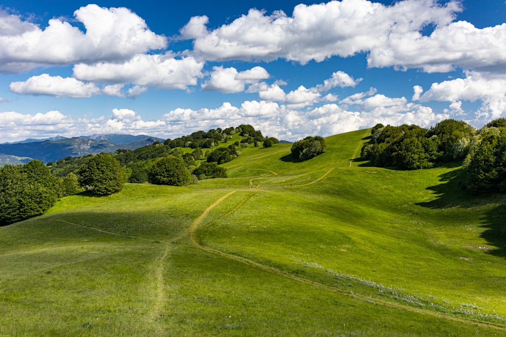 green grass field under blue sky during daytime