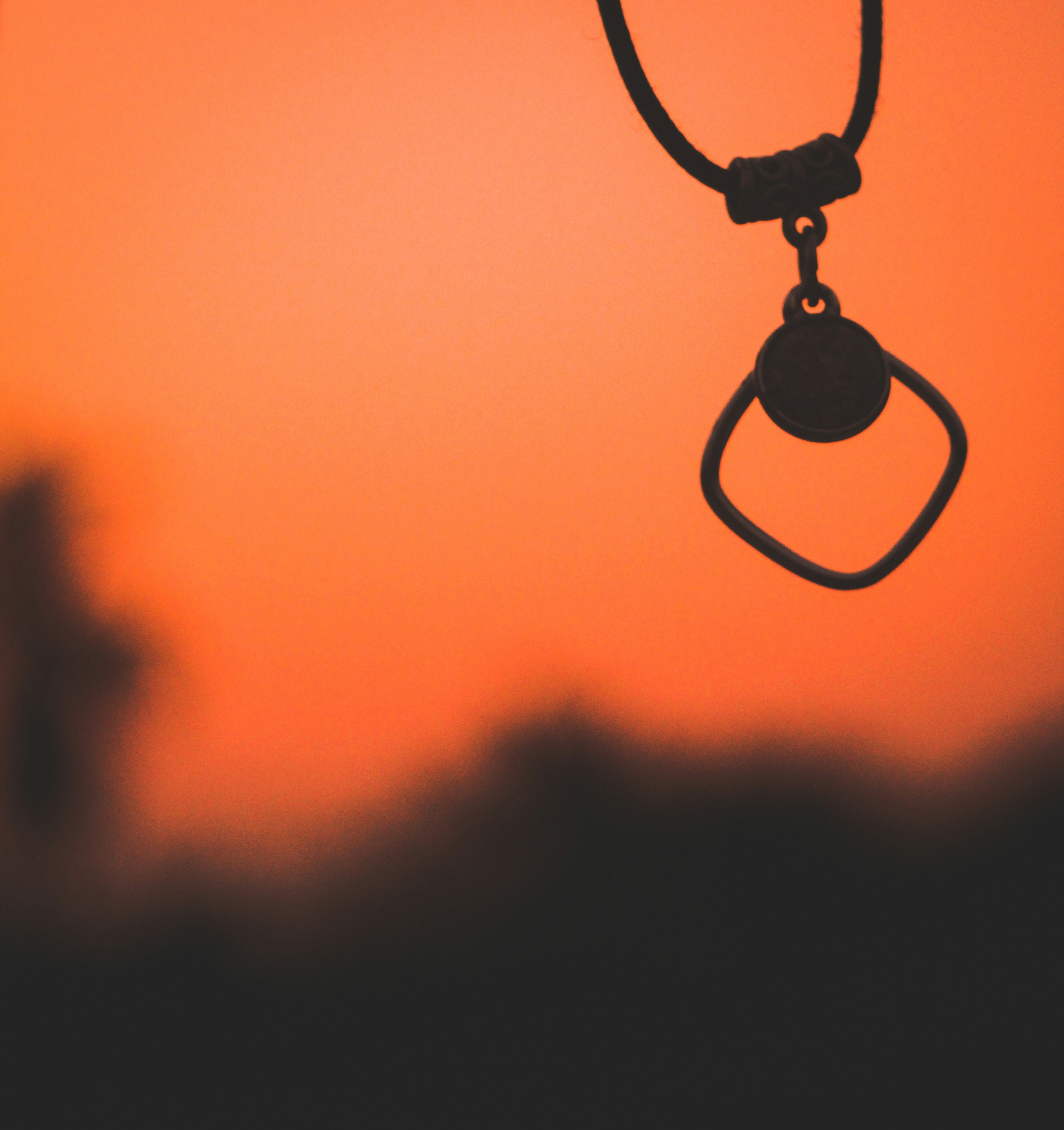 Photo by Tanjir Ahmed Chowdhury