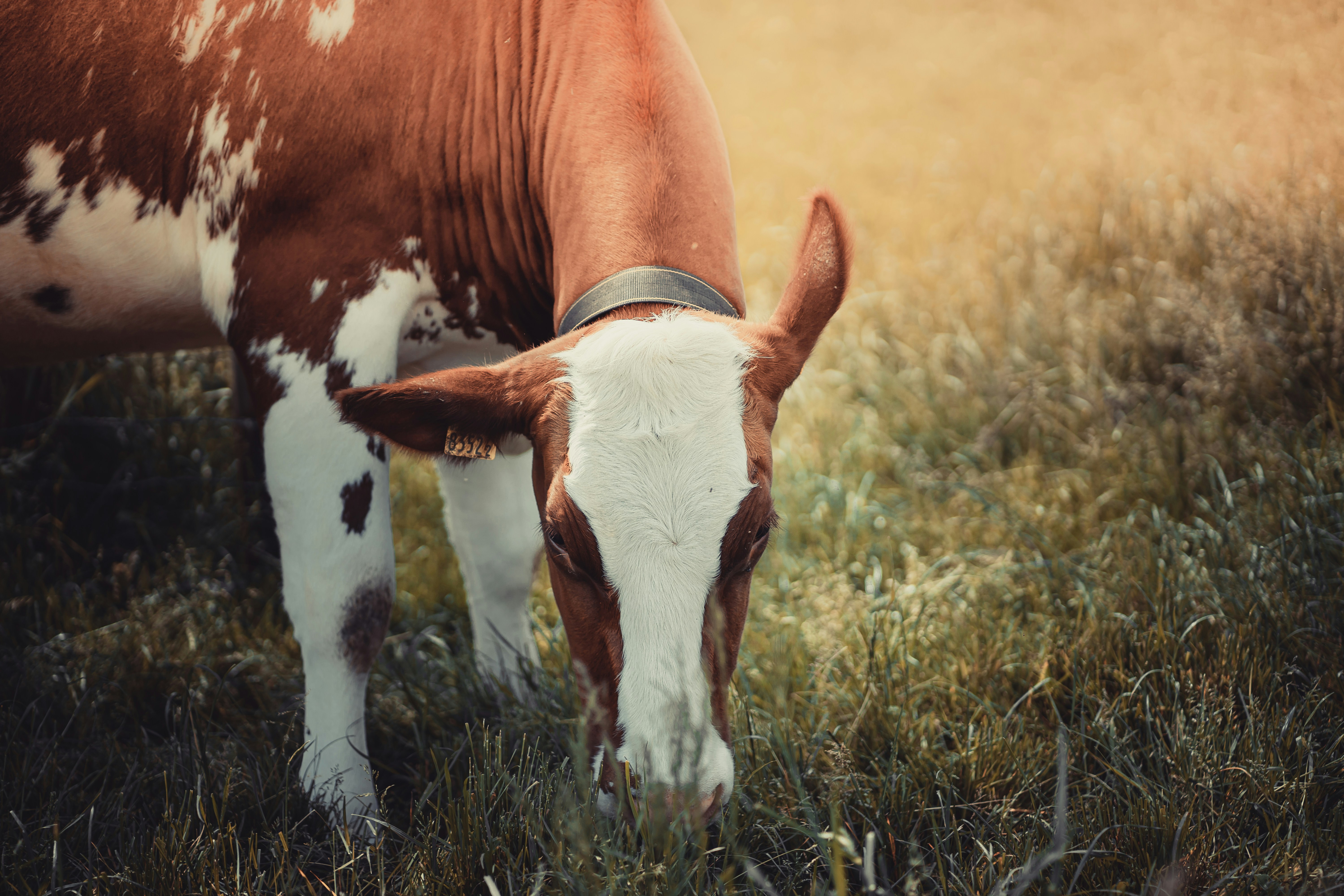 Photo by nilslindner