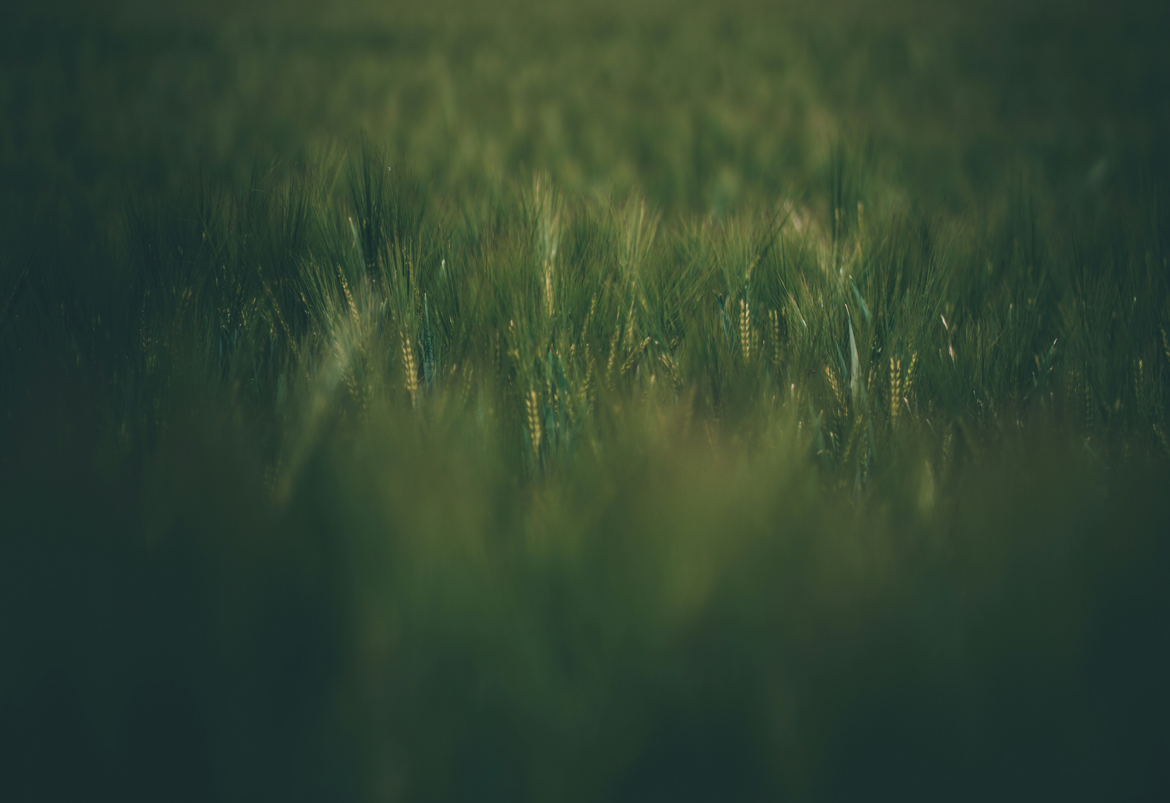 Photo by nilslindner