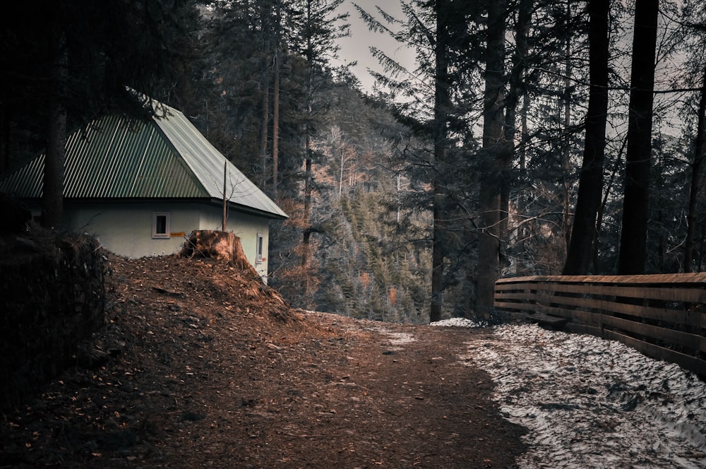 brown wooden house in the middle of forest during daytime