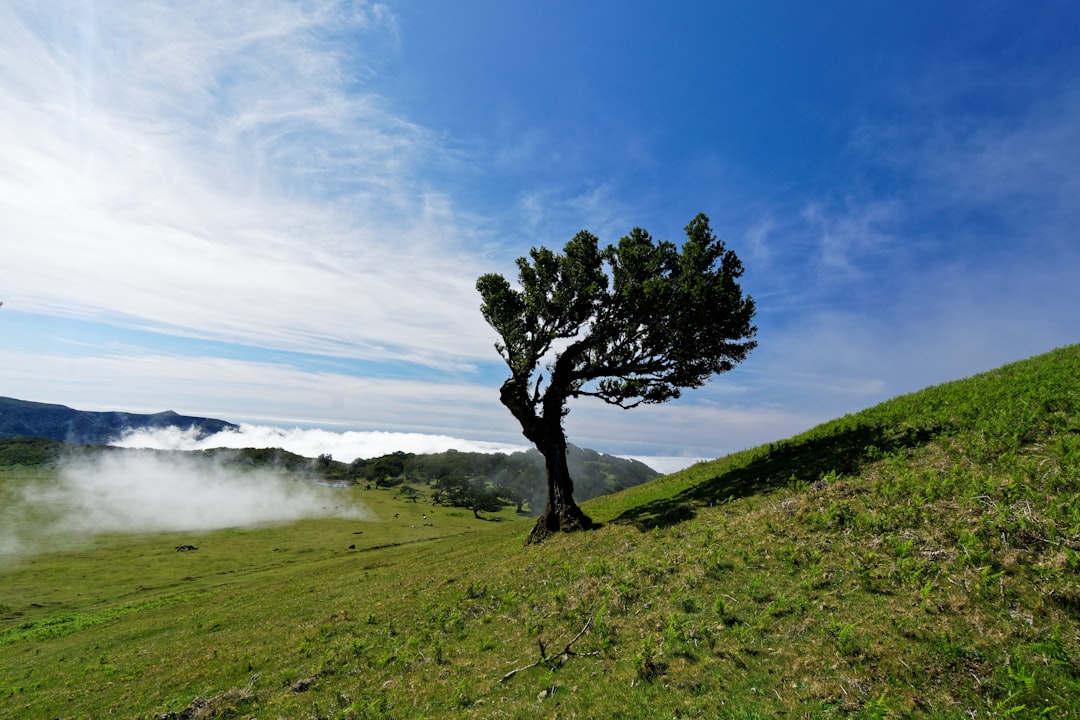 Hill station photo spot Faial Portugal