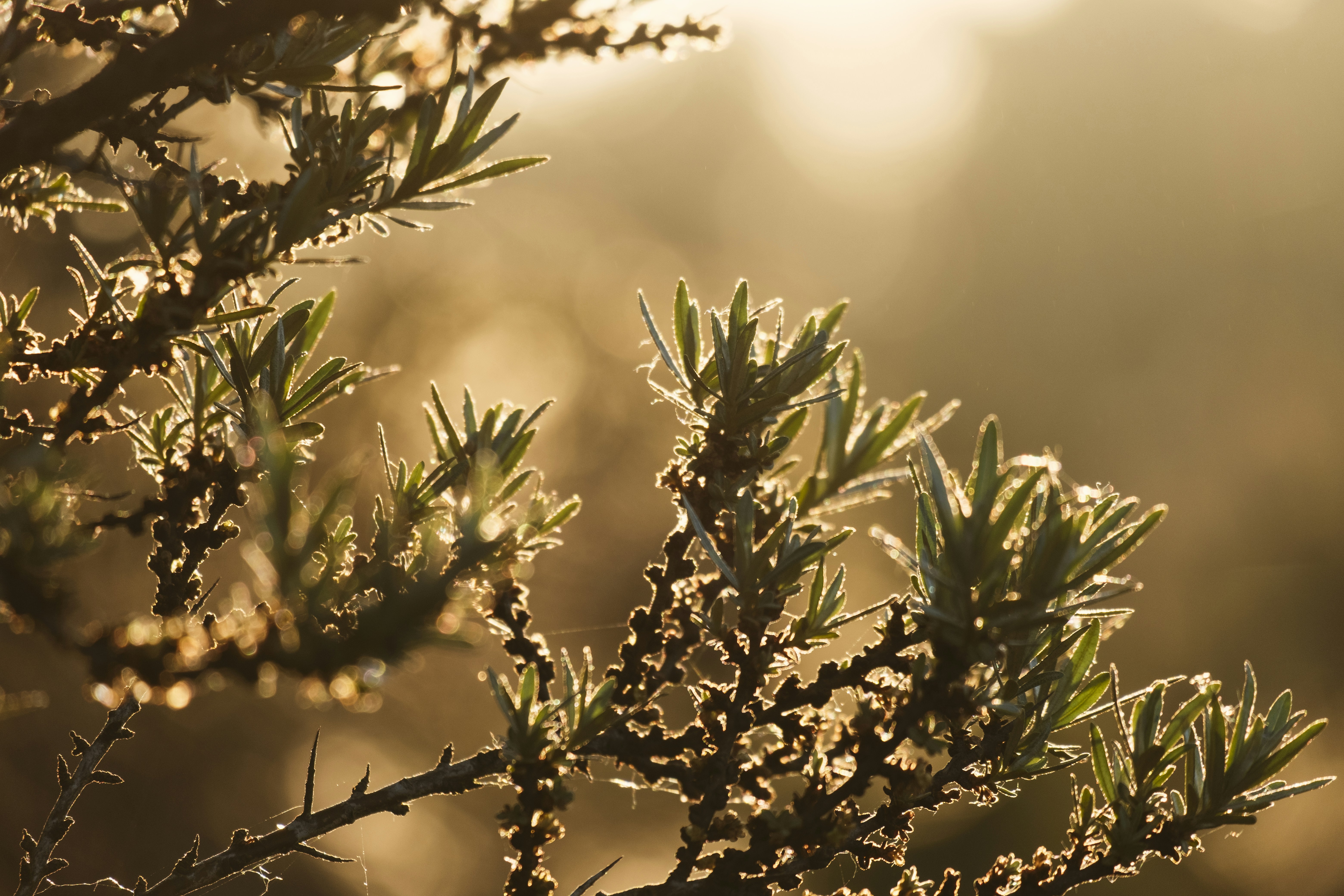 Photo by sandermathlener