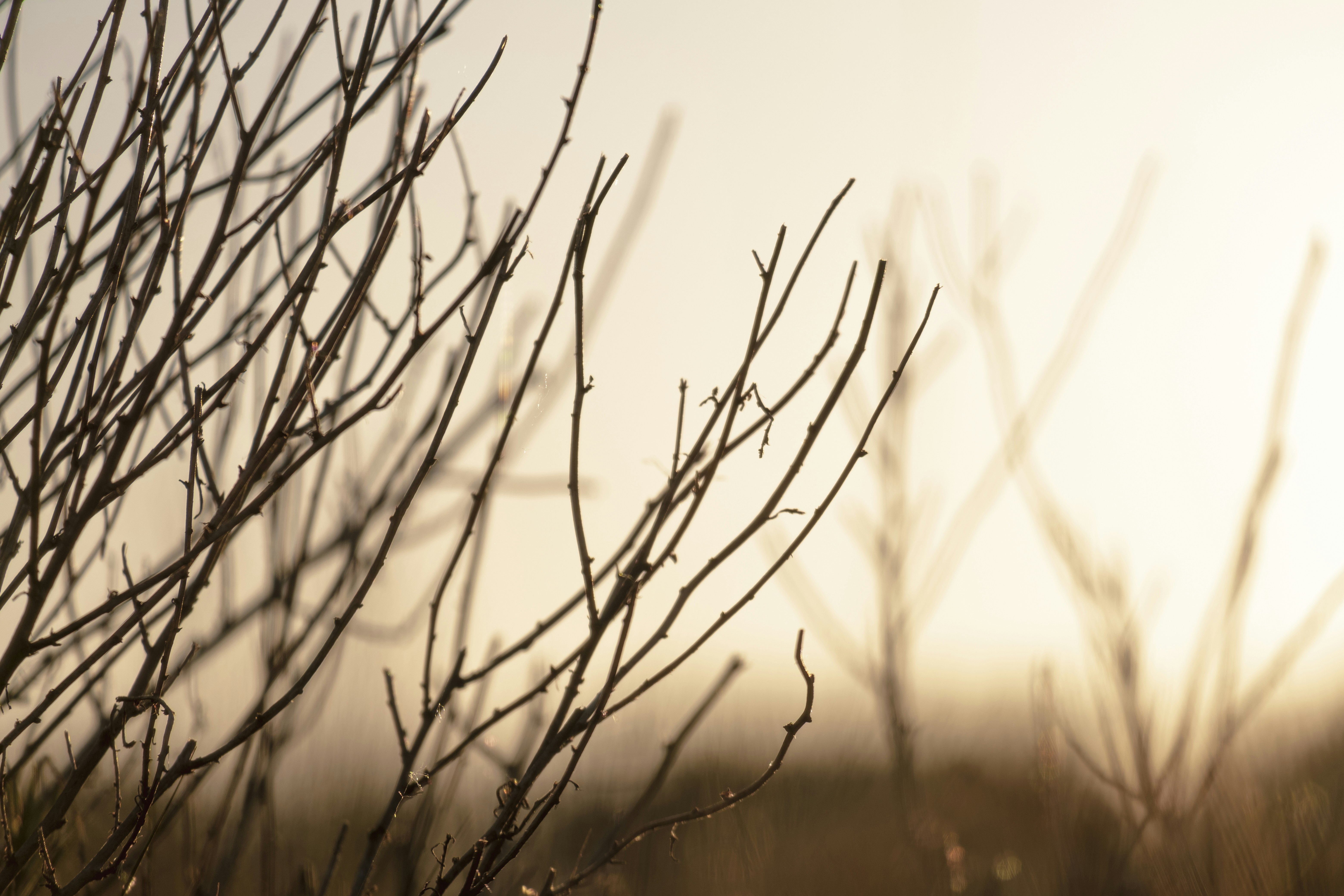 Photo by sandermathlener