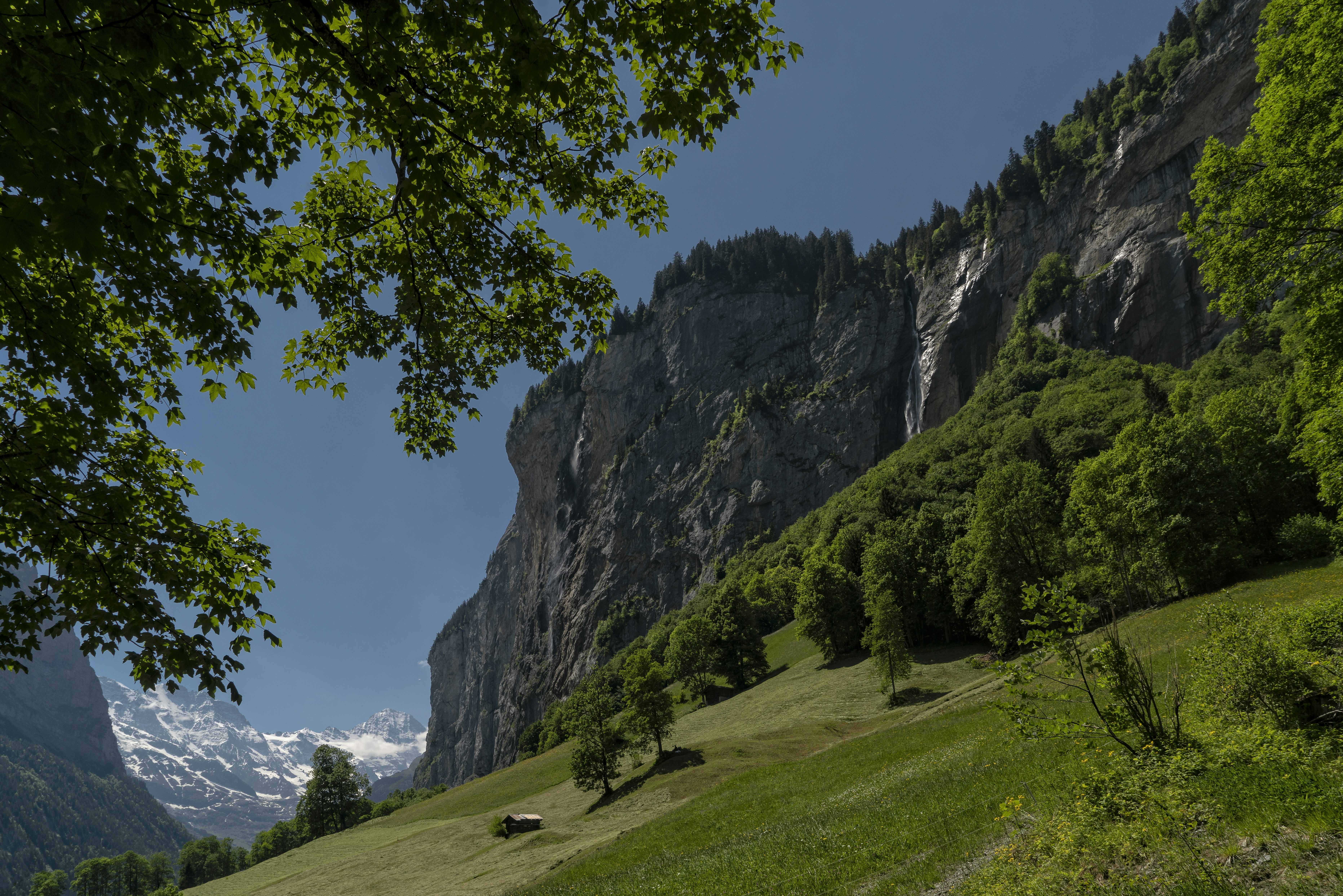green grass field near rocky mountain under blue sky during daytime - Abbey de St. Gall