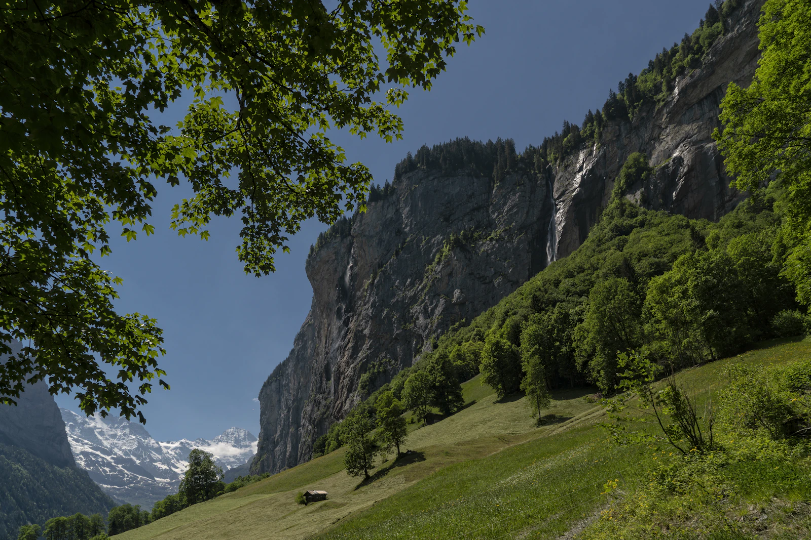 The green Lauterbrunnen valley beneath rocky peaks in summer