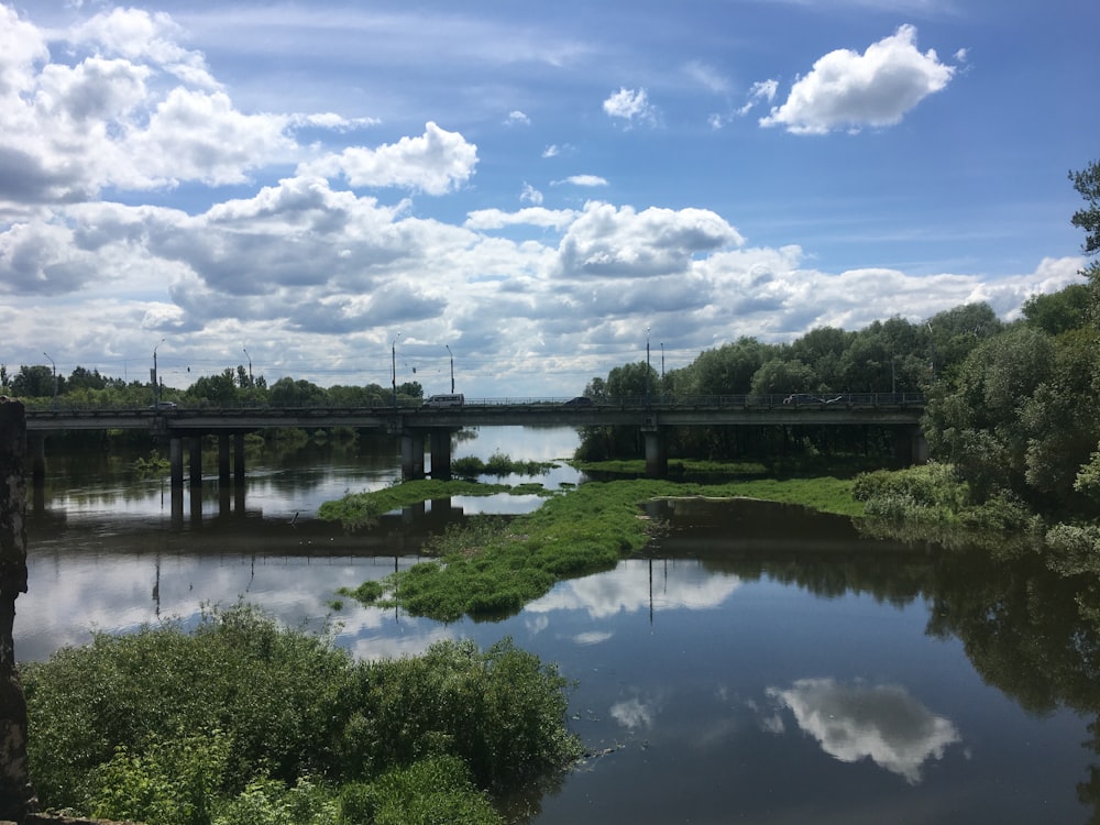 green trees near river under blue sky during daytime