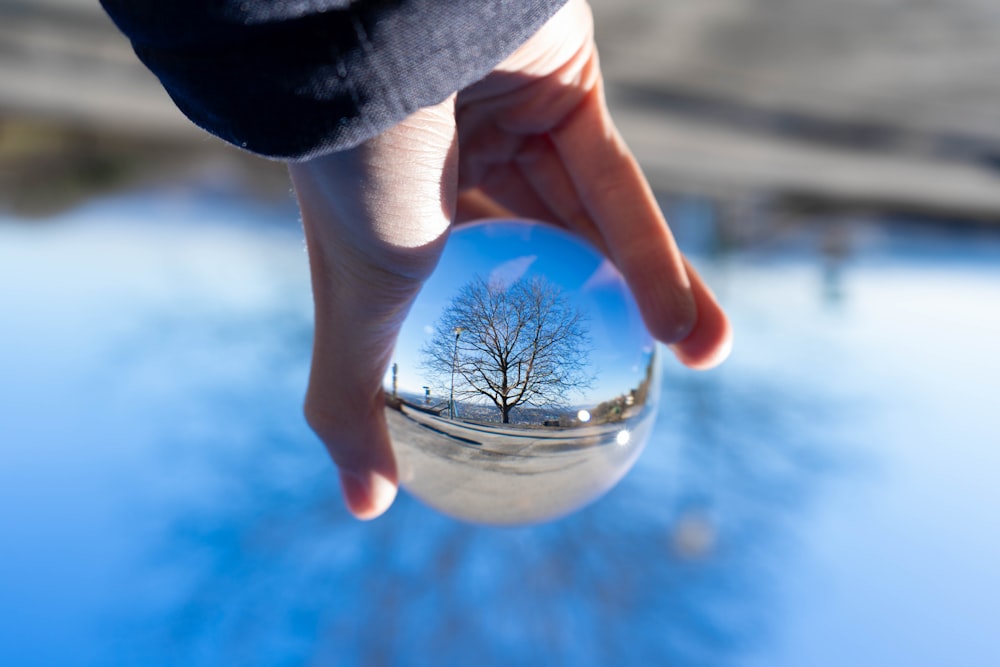 person holding clear glass ball