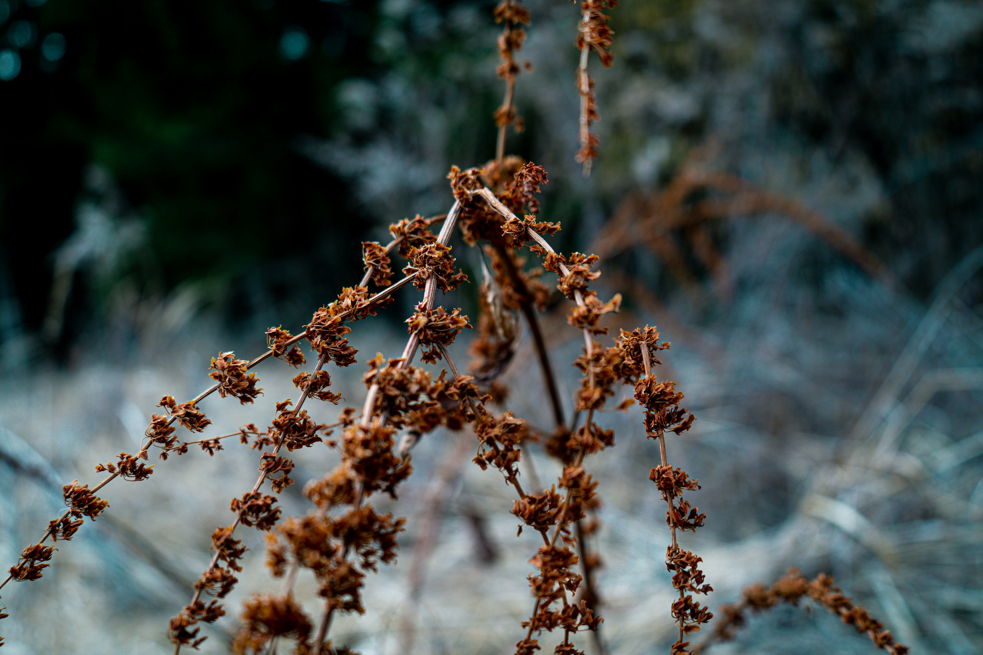 Photo by rathaa