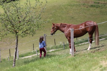 girl in blue jacket standing beside brown horse during daytime