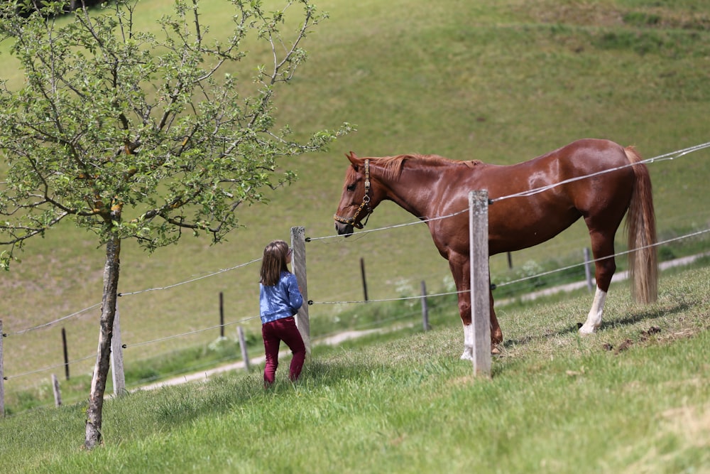 girl in blue jacket standing beside brown horse during daytime