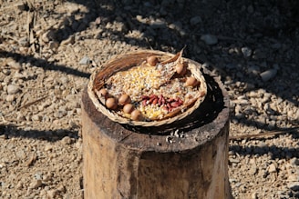 A woven basket sits on a wooden stump filled with various grains and seeds, including corn and small red beans. Surrounding the grains, small round objects resembling acorns are placed. The setting is outdoors on a dry, rocky surface with scattered stones and shadows cast across the ground.