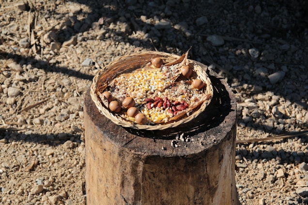 A rustic basket filled with fresh groundnuts and golden millet grains on a wooden table.