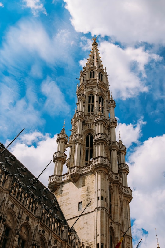 white concrete building under blue sky during daytime in Grand Place, Brussels Town Hall Belgium